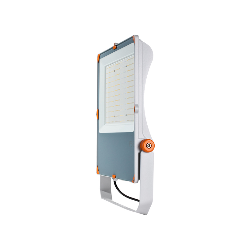 LED Flood Light