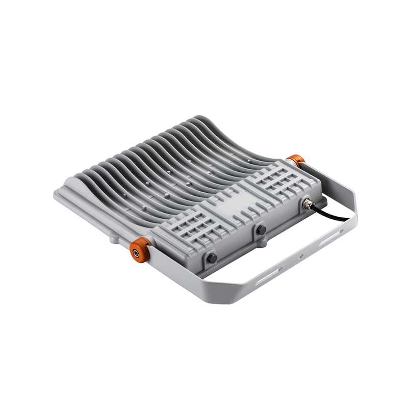 LED Flood Light