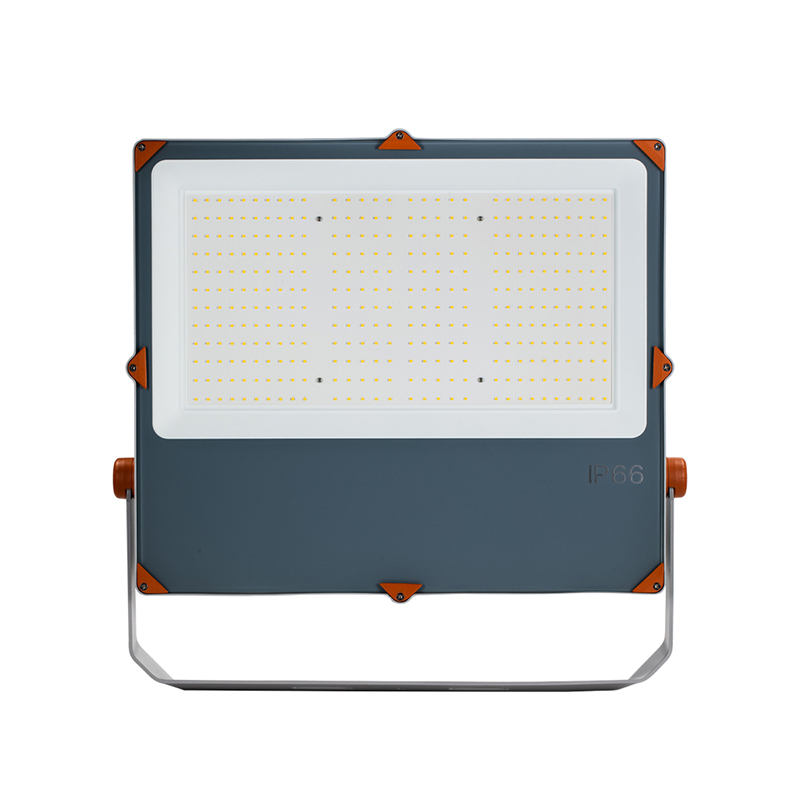 LED Flood Light