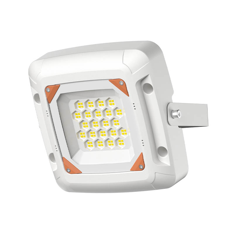 LED Gas Station Lights FY1