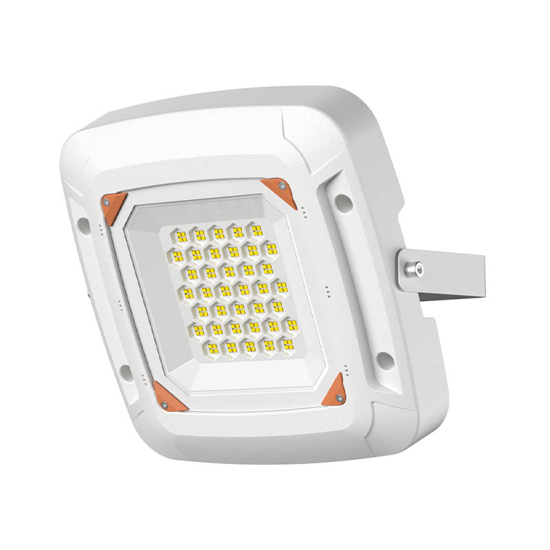 LED Gas Station Lights FY1