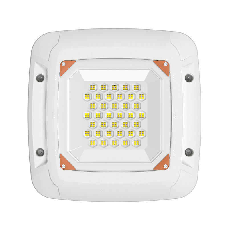 LED Gas Station Lights FY1