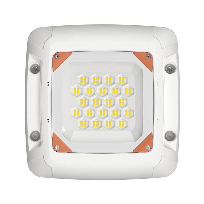 LED Gas Station Lights FY1